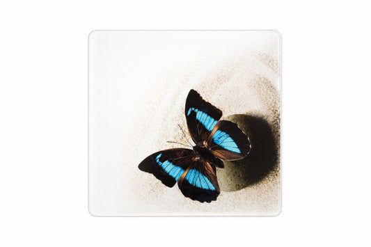 Cantar corporal digital cu display LED, sticla securizata, model fluture albastru