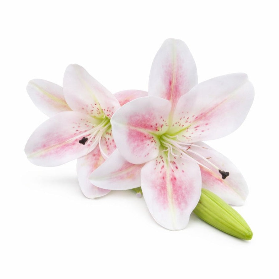 Crin artificial alb cu accente discrete roz, 2 flori si boboc pe fir unic 63 cm