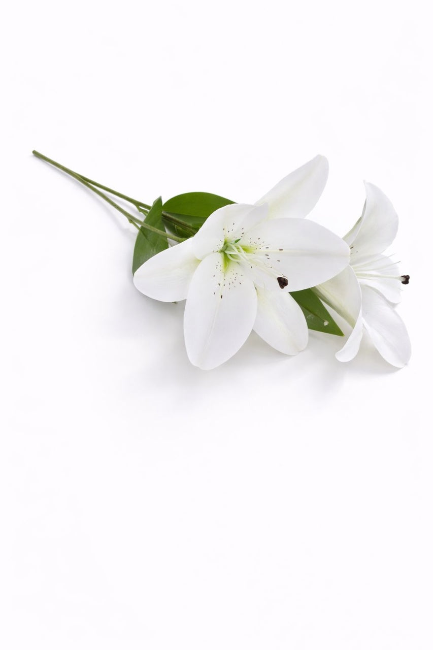 Crin artificial alb elegant cu 2 flori si boboc decorativ pe fir unic 63 cm
