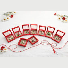 Oferta 9 brose modele mixte de 4 cm in cutie rosie eleganta de 7x7 cm