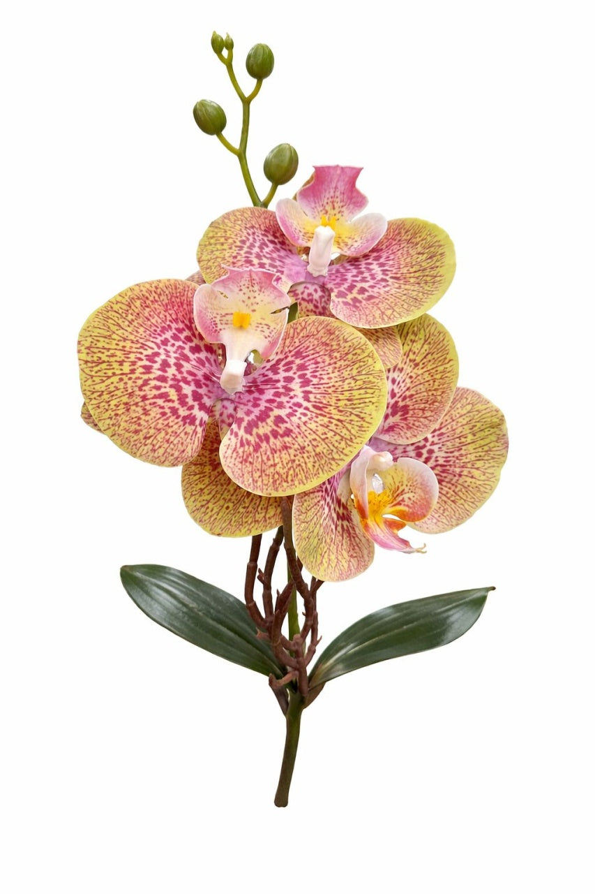 Orhidee artificiala 3 flori cu boboci si frunze 37 cm verde tigrat violet