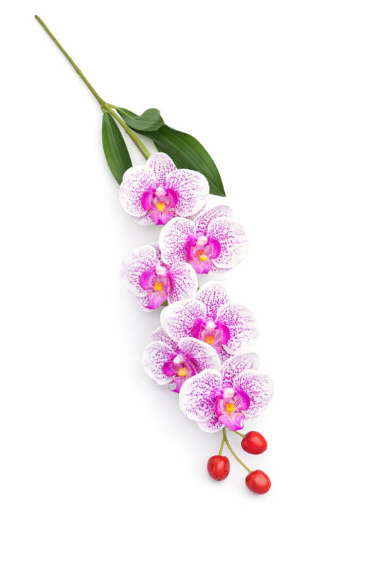 Orhidee artificiala eleganta alba cu accente mov, 6 flori si 3 boboci, 60 cm