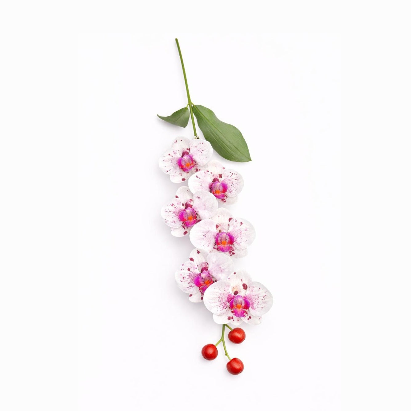 Orhidee artificiala eleganta alba cu pete mov, 6 flori si 3 boboci, 60 cm