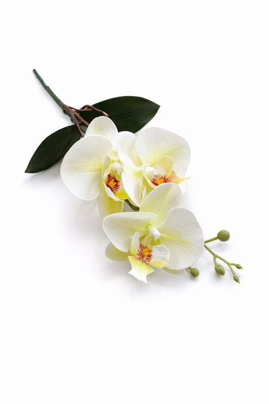 Orhidee artificiala verde crud cu 3 flori si boboci, frunze decorative 37 cm