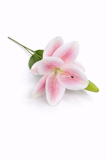Crin artificial alb cu accente discrete roz, 2 flori si boboc pe fir unic 63 cm