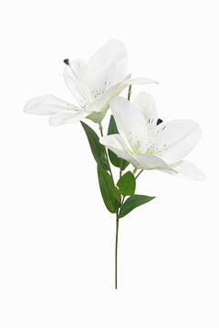 Crin artificial alb elegant cu 2 flori si boboc decorativ pe fir unic 63 cm