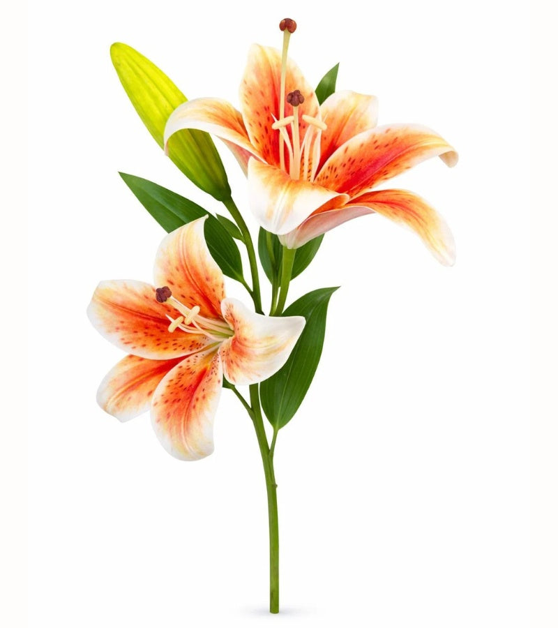 Crin artificial portocaliu cu alb cu 2 flori si boboc aspect natural elegant 35 cm