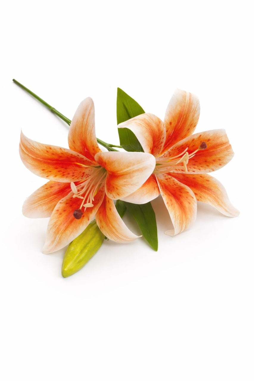Crin artificial portocaliu cu alb cu 2 flori si boboc aspect natural elegant 35 cm