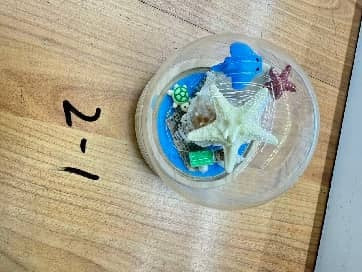 Decoratiune marină cu melci și stea de mare, multicoloră, dimensiune mică