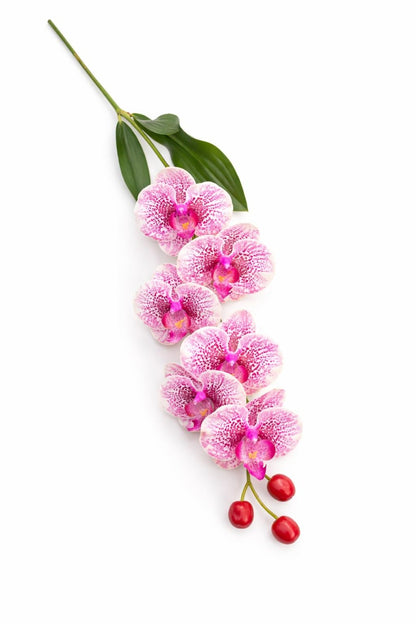 Orhidee artificiala eleganta verde deschis cu accente violet, 6 flori, 60 cm