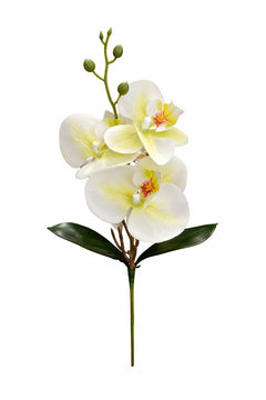 Orhidee artificiala verde crud cu 3 flori si boboci, frunze decorative 37 cm
