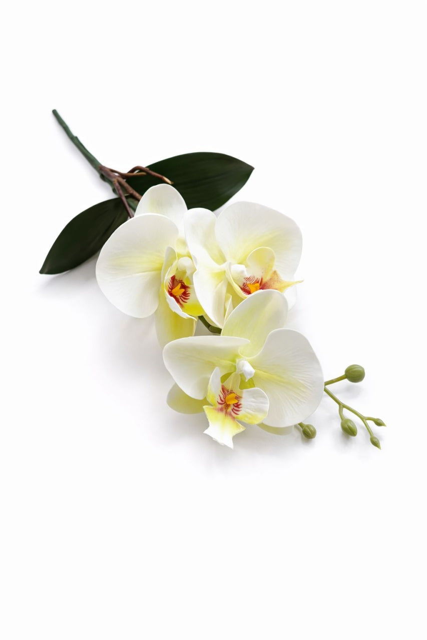 Orhidee artificiala verde crud cu 3 flori si boboci, frunze decorative 37 cm
