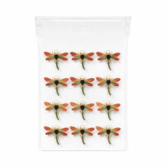 Set 12 brose Martisor pe carton prezentare, 17x10 cm, Cadou 1 Martie, Libelula auriu portocaliu