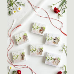 Set 24 brose martisor elegante modele variate ambalaj individual 9x7.5 cm