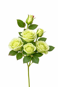 Set 3 trandafiri si 2 boboci verde deschis, decorativi, artificiali, 45 de cm