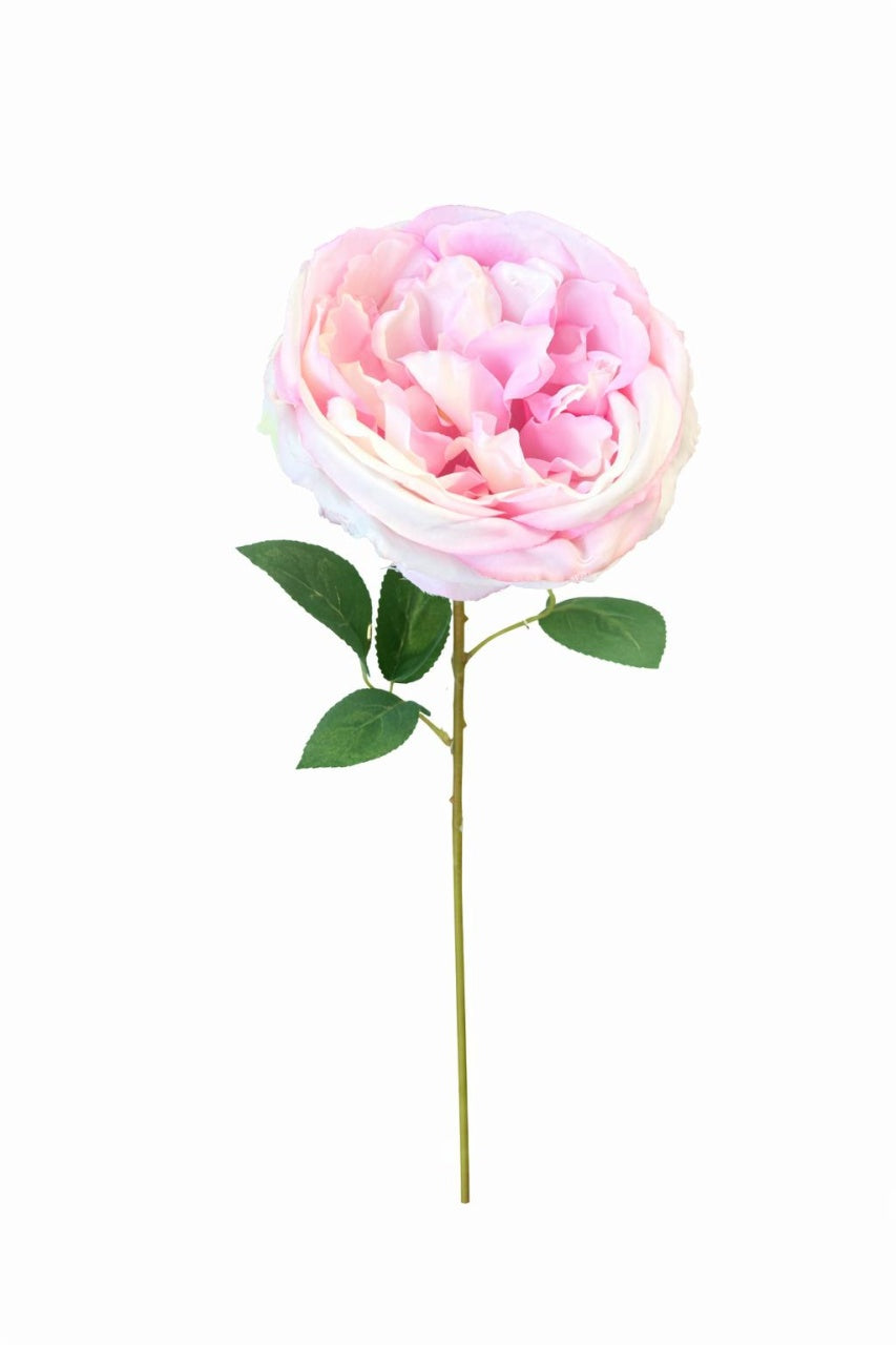 Trandafir artificial roz delicat si crem extrabogat 50 cm diametru floare 10 cm