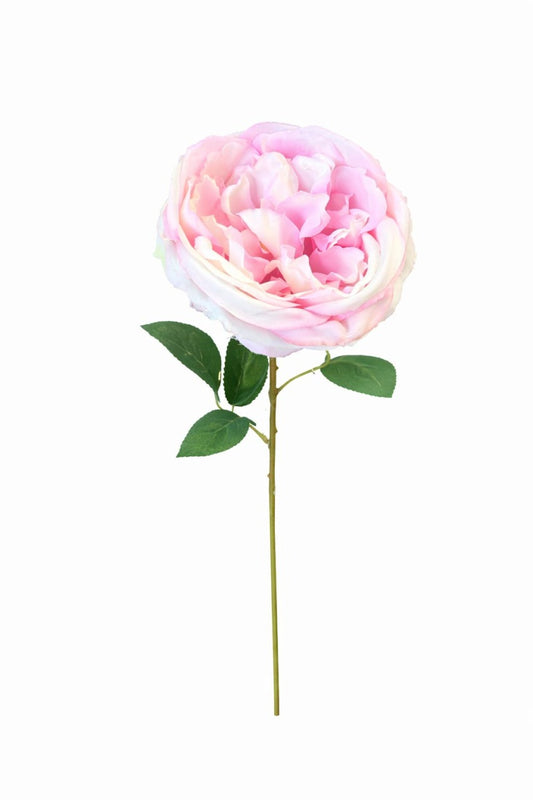 Trandafir artificial roz delicat si crem extrabogat 50 cm diametru floare 10 cm