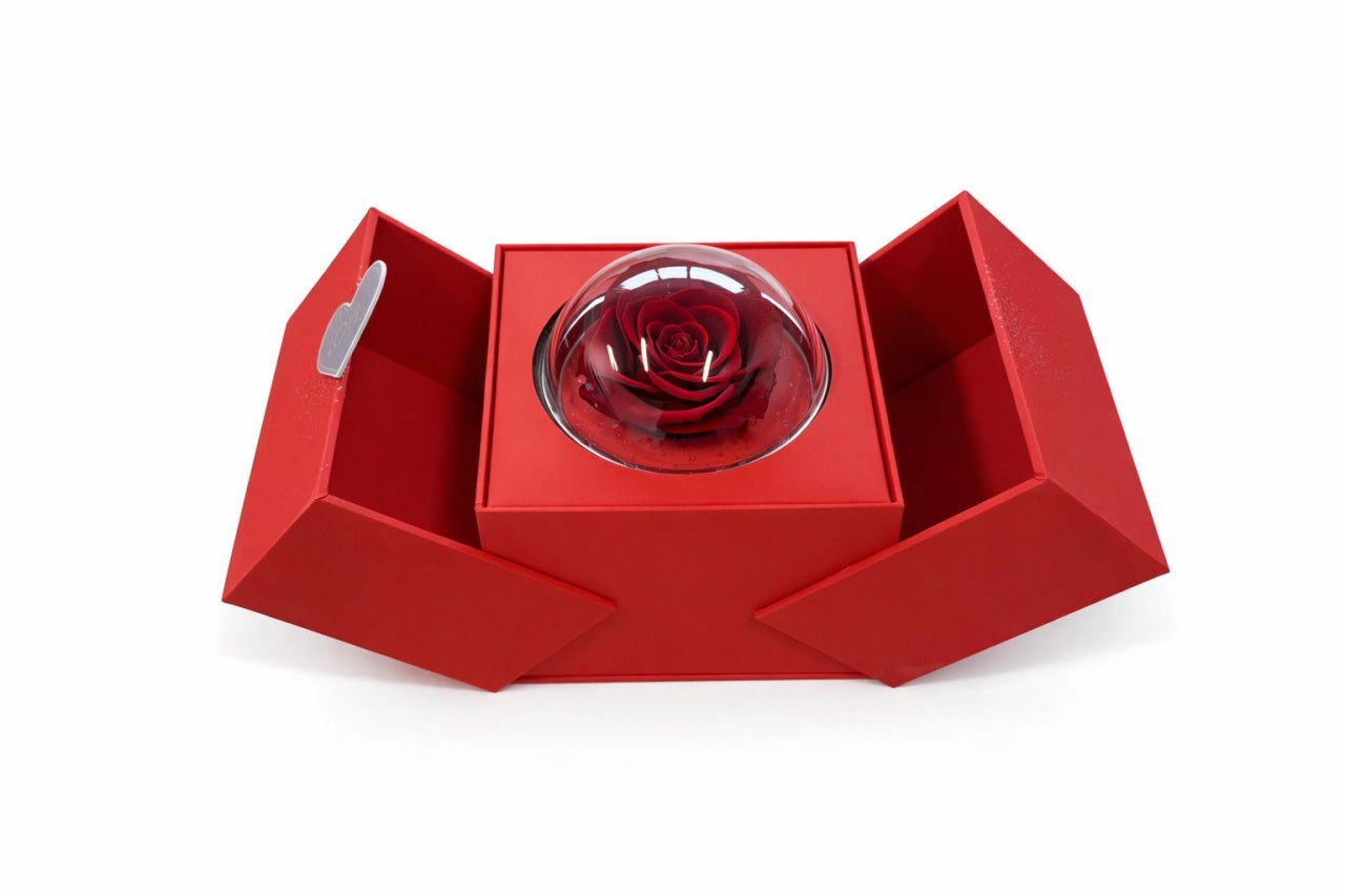 Trandafir criogenat in glob cu cutie rosie 15x14x12 cm, cadou romantic cu compartiment