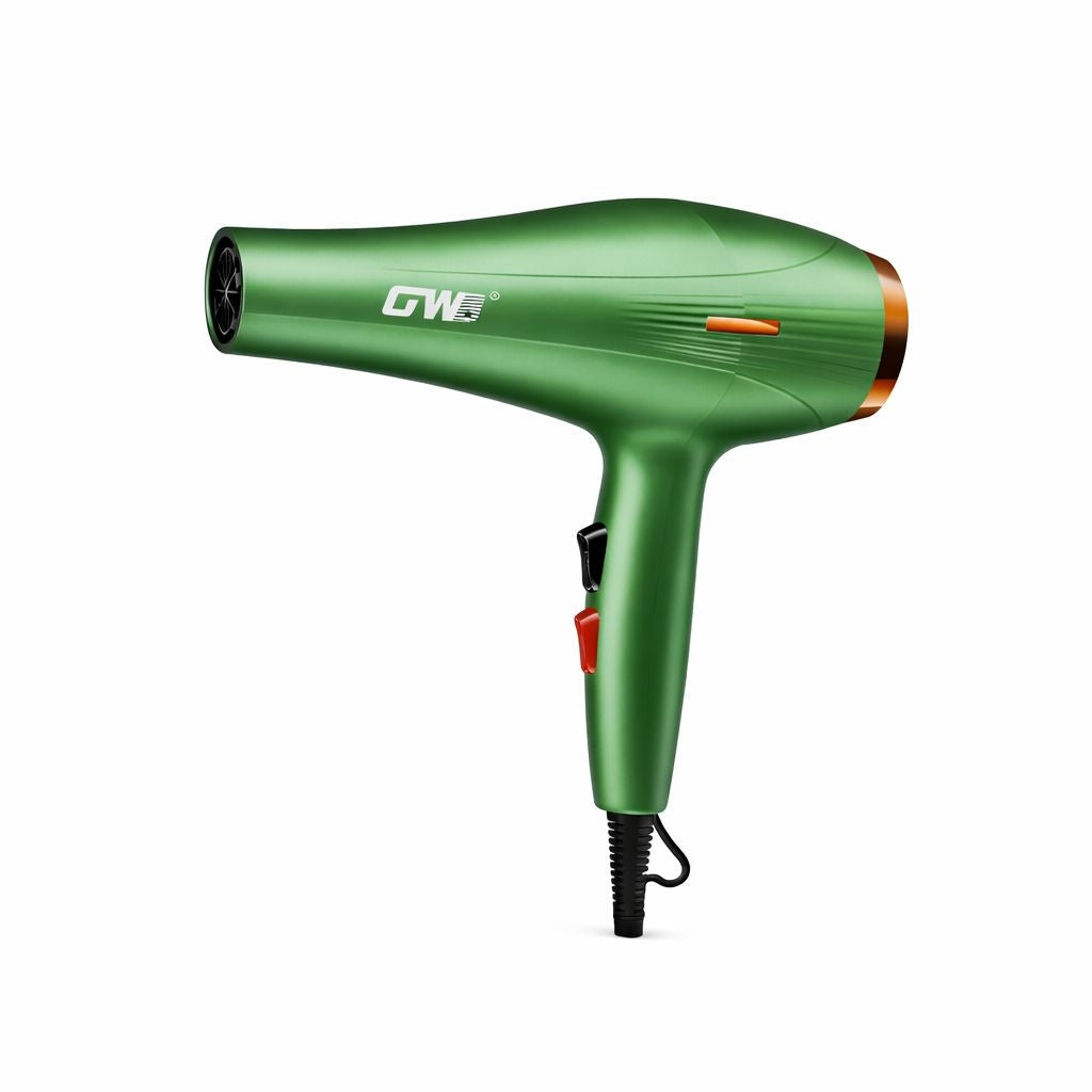 Uscător profesional de păr GW-6621, 3000W, Verde